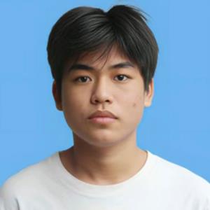 ������Ƭ