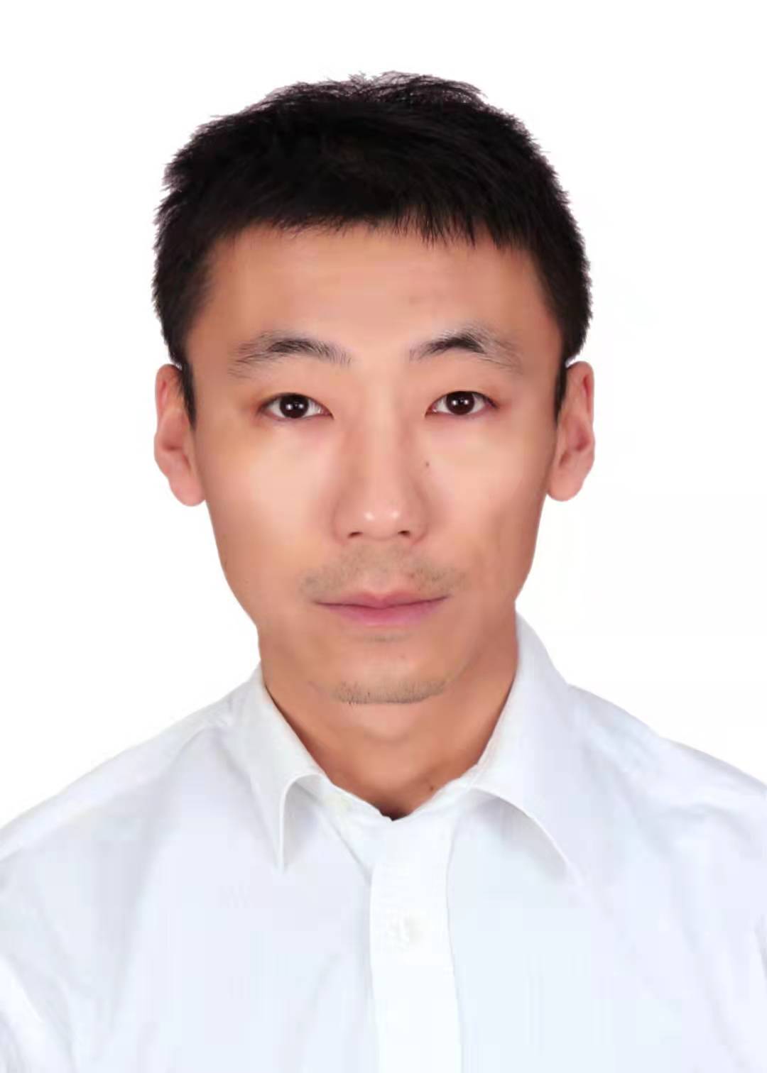 ������Ƭ