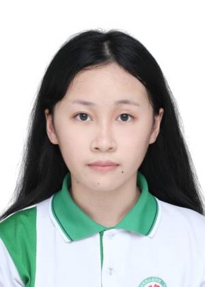 ������Ƭ