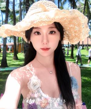 ������Ƭ