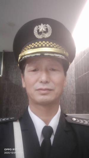 ������Ƭ