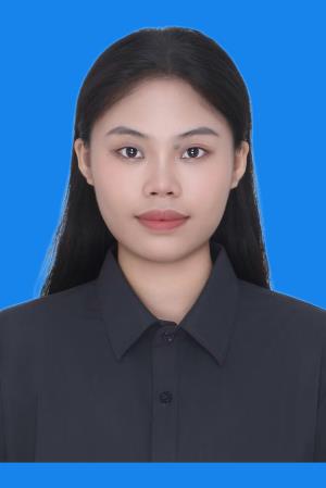 ������Ƭ