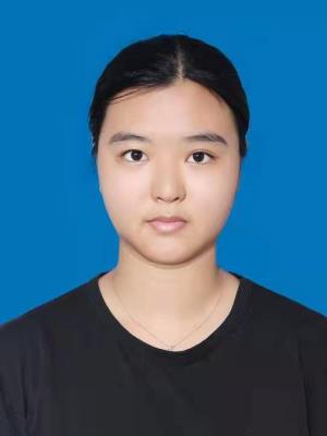 ������Ƭ