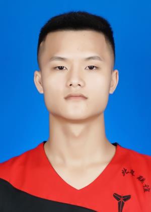 ������Ƭ