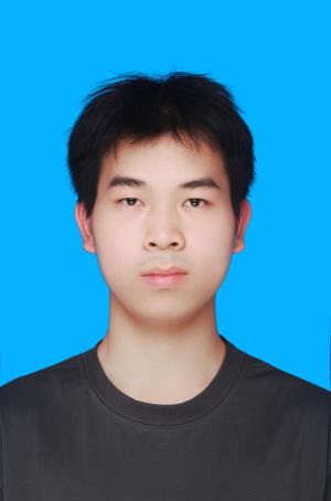 ������Ƭ