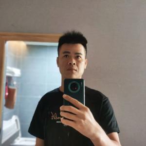 ������Ƭ