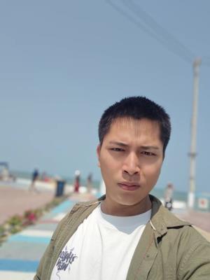 ������Ƭ