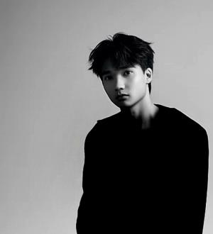 ������Ƭ