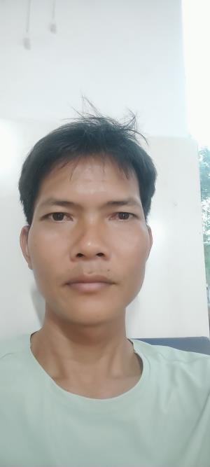 ������Ƭ