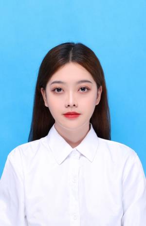 ������Ƭ