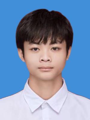 ������Ƭ