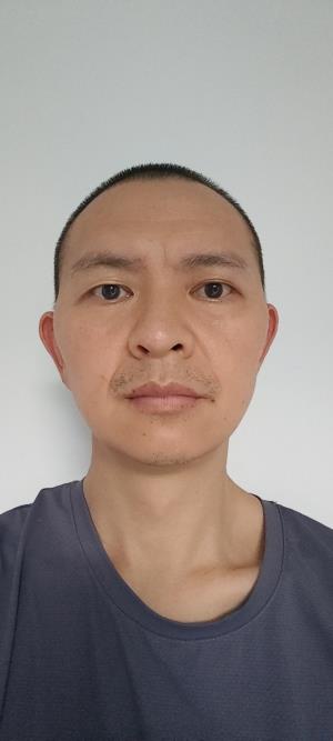 ������Ƭ