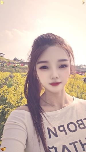 ������Ƭ