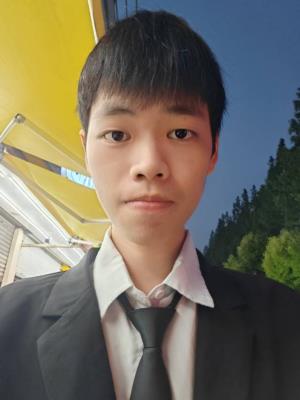 ������Ƭ